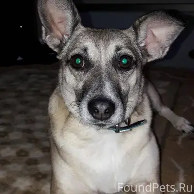 🆘️🆘️🆘️🆘️🆘️🆘️🆘️🆘️🆘️🆘️🆘️🆘️🆘️🆘️🆘️...