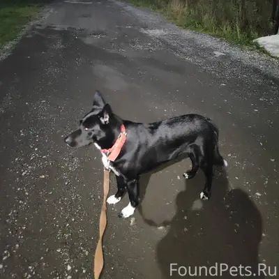 30 декабря вечером в 19.00...