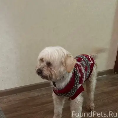 ‼️‼️ПЯТИГОРСК‼️‼️ Пост от перв...