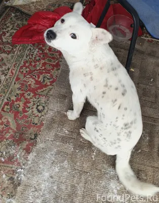 Всем добрый день. Ильский, рай...