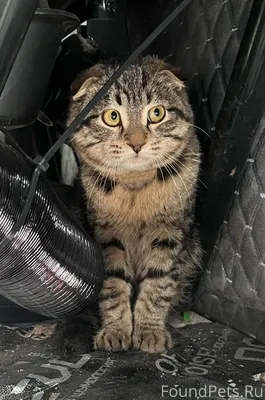 Д.Липна .Петушинский район. На...