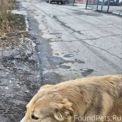 20.01.26г. Друзья! Если увидит...