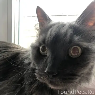 Елец!!!! В районе новые дома н...