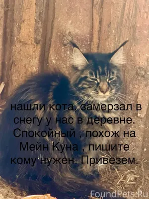 19 января, д. Синьково найден ...