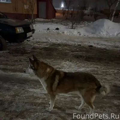 На улице бульвар молодежи 1 бр...