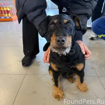 Срочно! На заправку Газпром на...