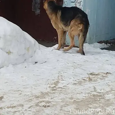 #Воскресенск Во дворе ул. Побе...