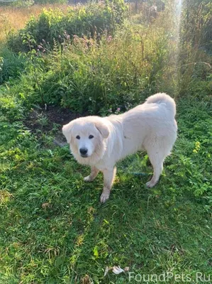 #Калужская_область ВНИМАНИЕ!!!...