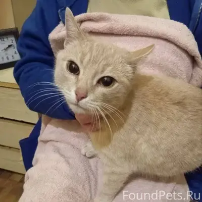 В Жуковском на улице Фрунзе на...