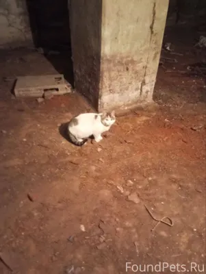 В районе пересечения улиц Куйб...