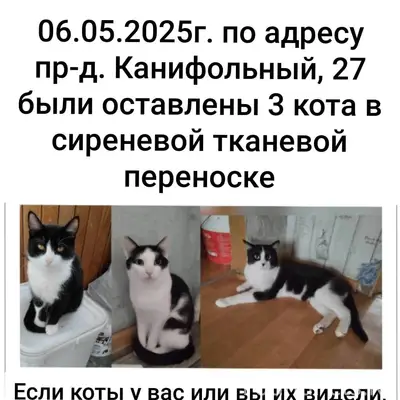 Здравствуйте! Может кто-то ещё...