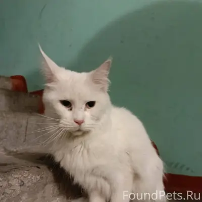 Ребята, кто потерял? Сидит в п...