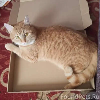 На ул. Станционная (Луна) проп...