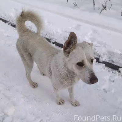 ‼️‼️ИНФОРМАЦИЯ ИЗ ТГ‼️‼️ 🆘🆘🆘🆘🆘...