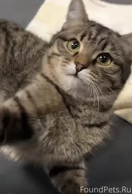 Карпинск ,улица Северная. Проп...