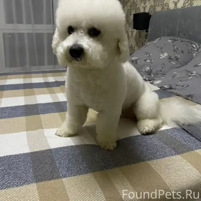 Здравствуйте, может получится ...