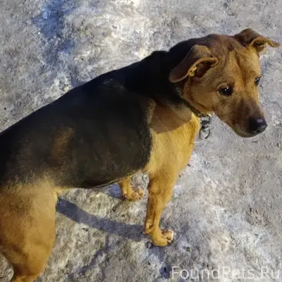 Возле 5-й пожарки на Дружбе...