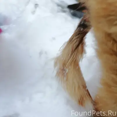 Здравствуйте мои дорогие друзь...