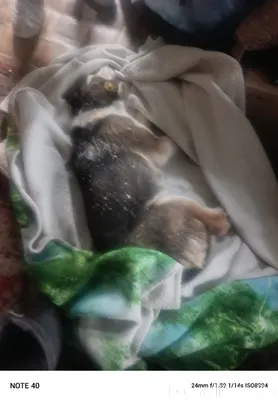 Конец дня, и вот – еще...