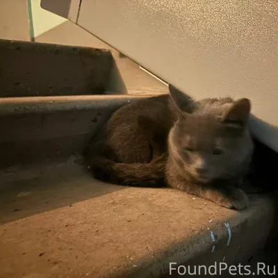 В 16 квартале в районе Автостр...