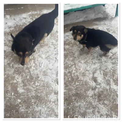 Второй день по ул.Кирова 4...