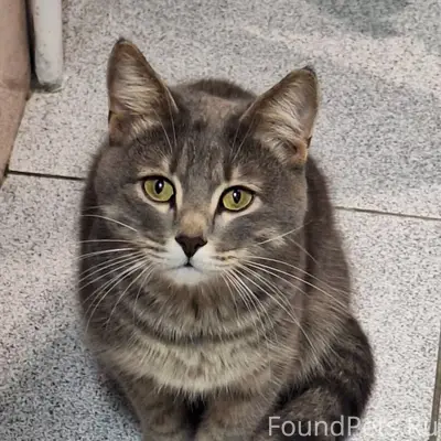 Волгоград, Краснооктябрьский р...