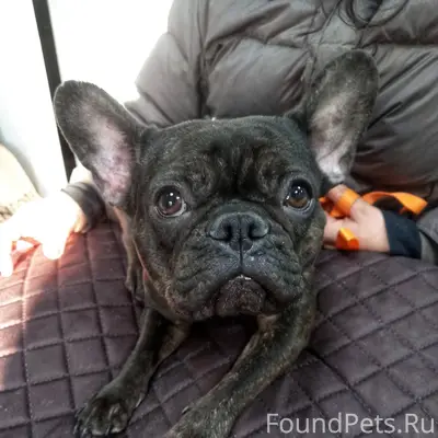 Просим максимальный перепост! ...