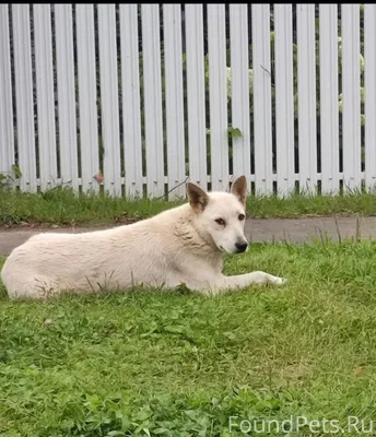 В середине октября рядом с д.....