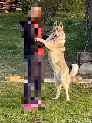 19.01.2026 года в п...