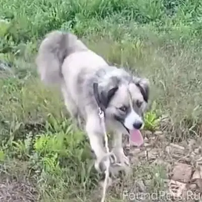 Район Беломестное п. Ямской, п...