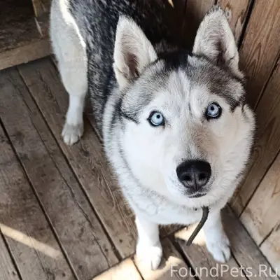 Помогите найти, пожалуйста. По...