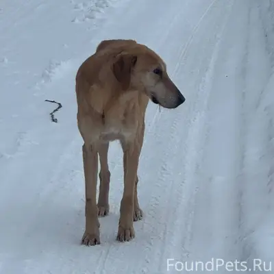 Г. Егорьевск. Прямо за городом...