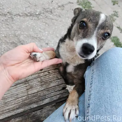 Вчера во время взрывов пропала...