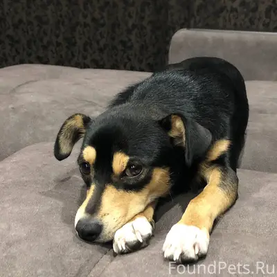 Максимальный репост пожалуйста...