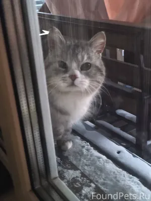 Всем здравствуйте! Особенно те...