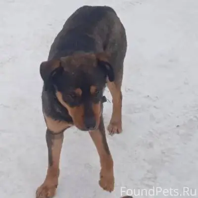 СОРОЧИНСК!!!🆘️🆘️🆘️К базе приби...