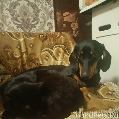 Ребят добрый вечер, вчера в ра...