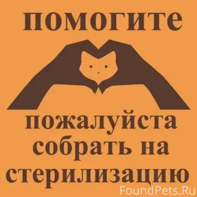 🆘🆘🆘🆘🆘🆘🆘🆘🆘🆘 СРОЧНО!!! СЕГОДНЯ Б...