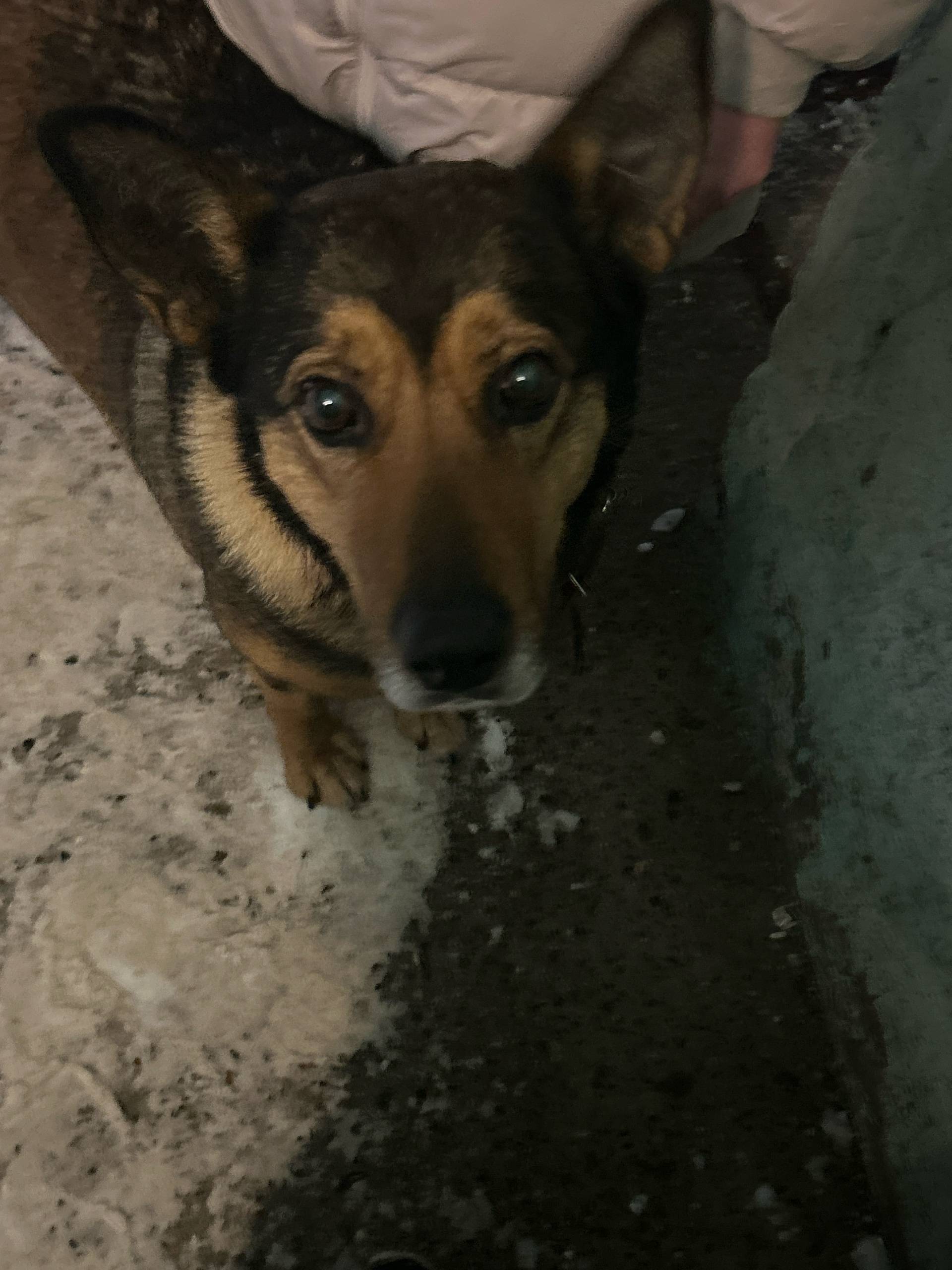 Была замечена по адресу: Колом...