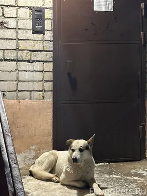 Добрый вечер, сегодня целый де...