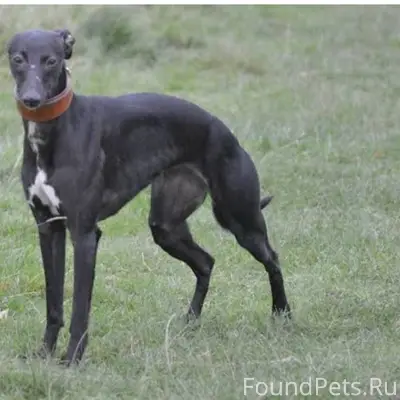 В п.Никольское несколько дней ...