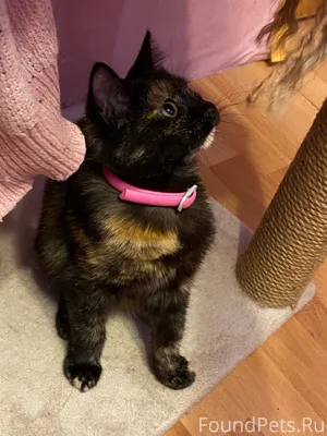 Сидела в подъезде на Ленинград...