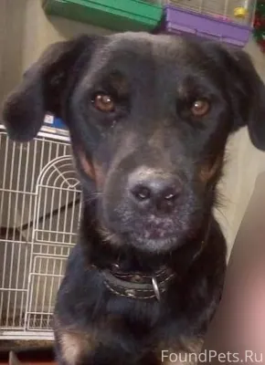 Прошу админа выложить это в бл...