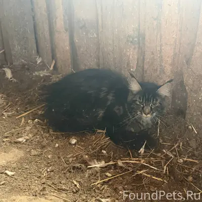 Срочно ❗️ Люди нашли на улице....