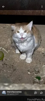 Опубликуйте, пожалуйста. В дом...