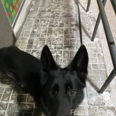 ЗАМЕЧЕН! ПЕТРОЗАВОДСК https://...