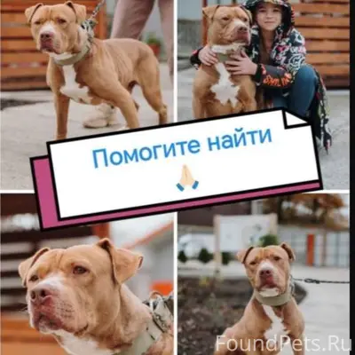 Здравствуйте ! Обращаюсь с про...