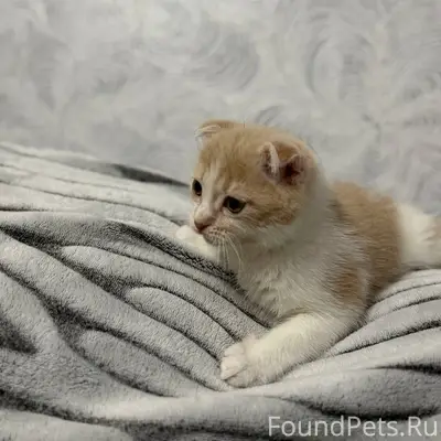 Здравствуйте,пожалуйста помоги...