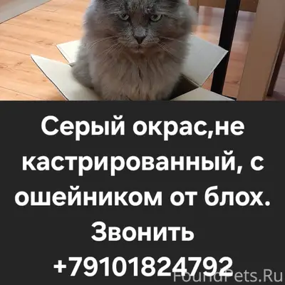 Опубликуйте пожалуйста. Пропал...