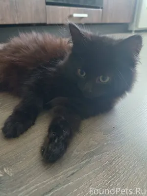 Вчера вечером по ул.малиновска...